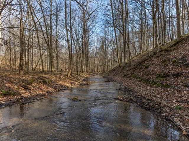 Land for sale in Tennessee