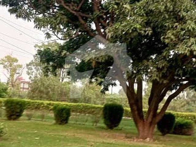 Property for sale in Rawalpindi, Islamabad Capital Territory