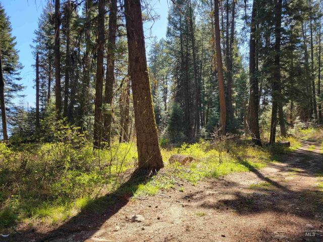 Land for sale in Cascade, Idaho