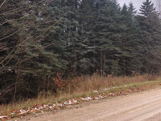 Land for sale in Michigan