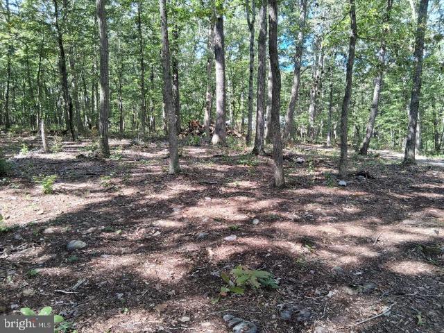 Land for sale in Luray, Page County