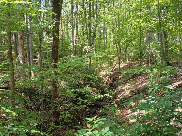 Land for sale in Virginia