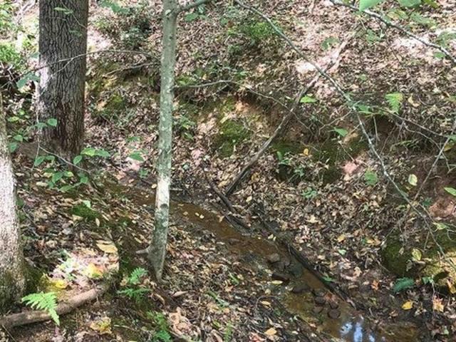 Land for sale in Virginia