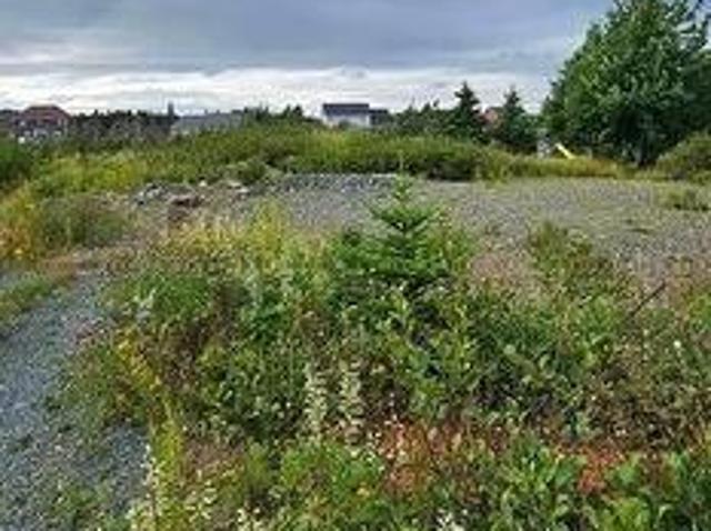 Land for sale in Torbay, Newfoundland