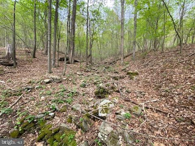 Land for sale in Blair, Pennsylvania