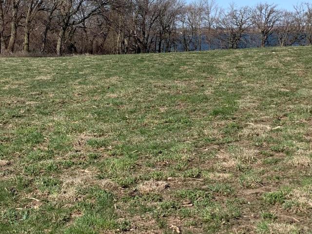 Land for sale in Garvin, Minnesota
