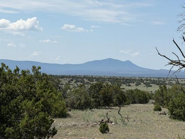 Land for sale in Catron, New Mexico