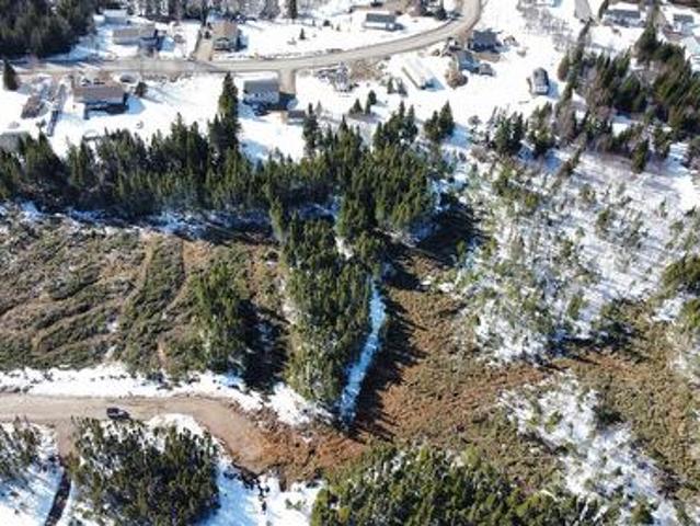 Land for sale in Cormack, Newfoundland And Labrador