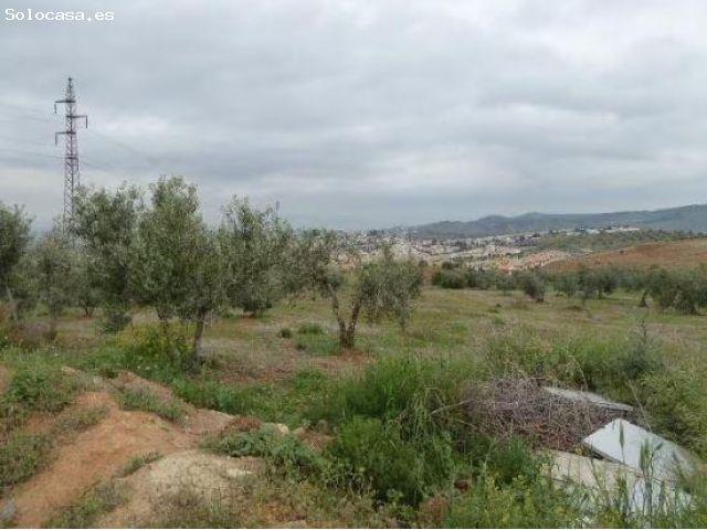 Local Comercial en venta en San Miguel, Comarca de la Vega de Granada