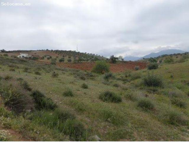 Local Comercial en venta en San Miguel, Comarca de la Vega de Granada