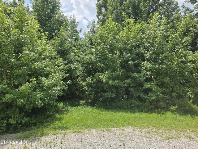 Land for sale in Tennessee