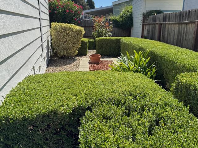 Property for sale in Solvang, California
