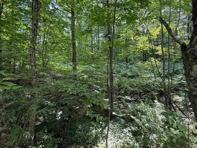 Land for sale in New Hampshire