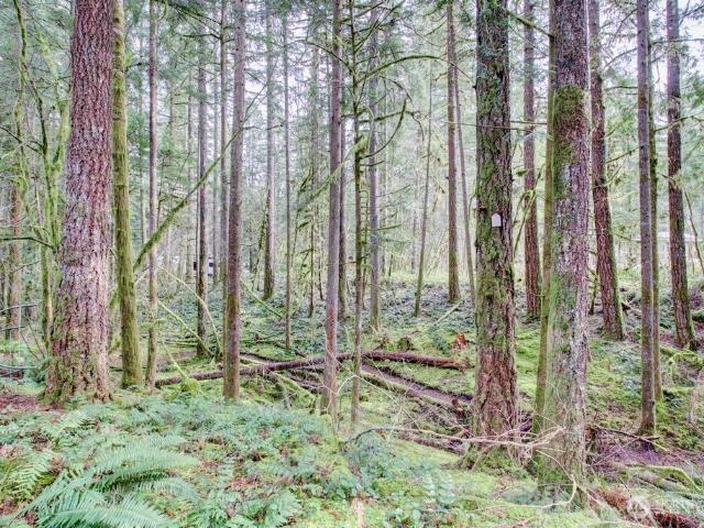 House for sale in Deming, Washington