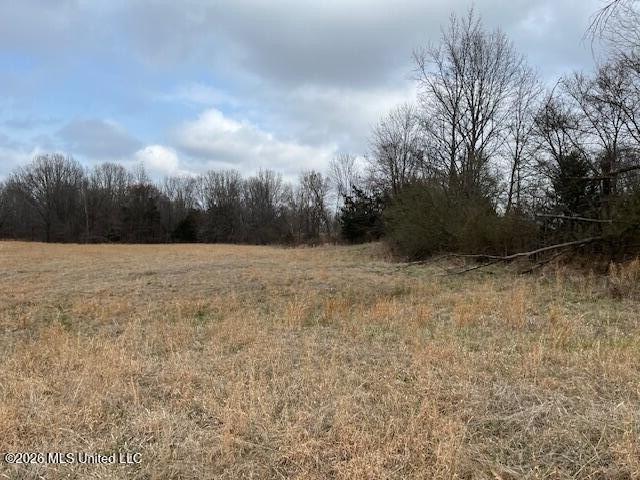 Land for sale in Tate, Mississippi