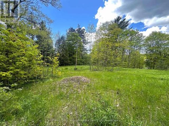 Land for sale in Seguin, Ontario
