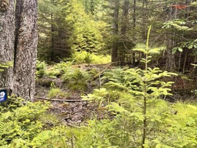 Land for sale in Penobscot, Maine