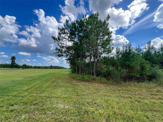 Land for sale in Groveton, Trinity County