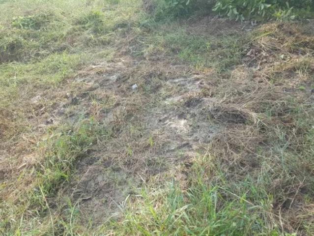 Land for sale in Nankana Sahib, Islamabad Capital Territory