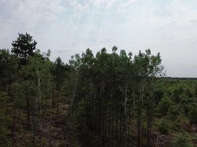 Land for sale in Wisconsin