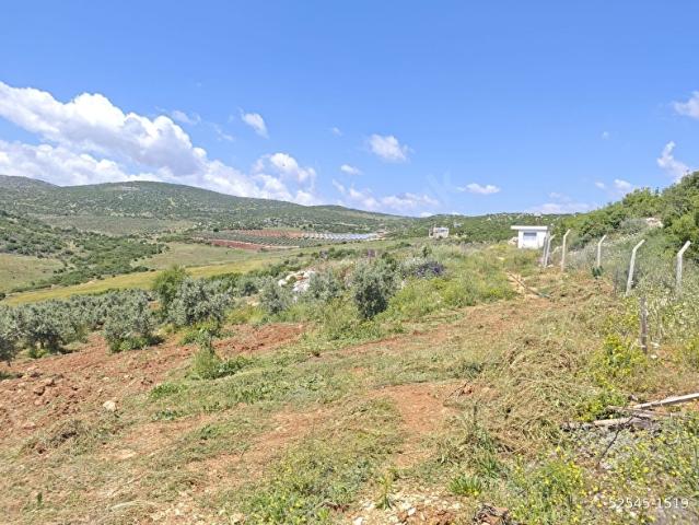 Altinözü, Hatay içerisinde satılık Arsa