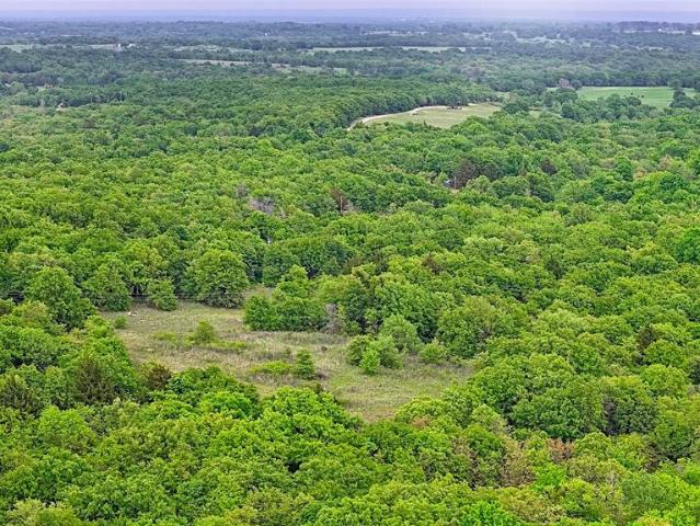 Land for sale in Saint Jo, Texas