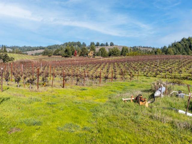 Land for sale in Philo, California