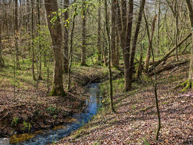 Land for sale in Clarkesville, Georgia