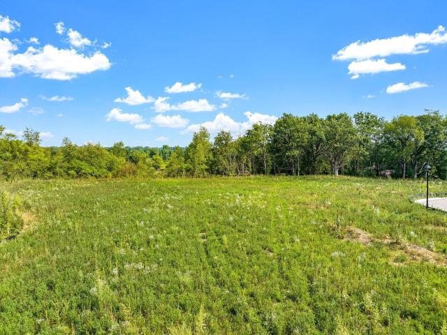 Land for sale in Rosemount, Minnesota