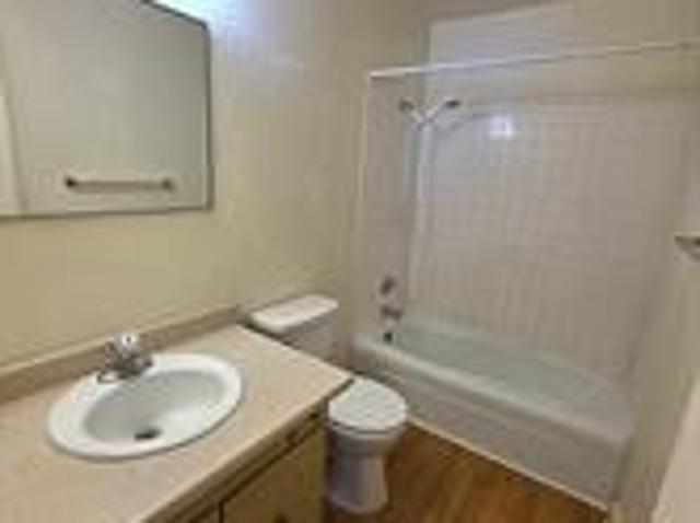 Property for rent in Clear Creek, Colorado