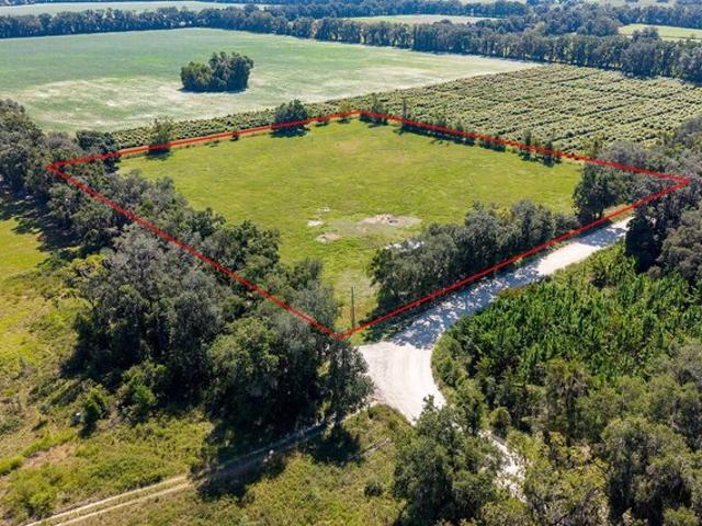 Land for sale in Newberry, Alachua County
