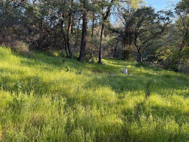 Land for sale in Smartsville, Yuba County