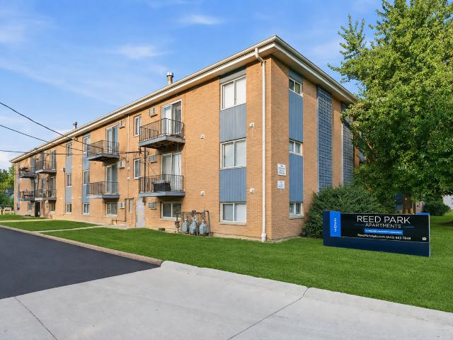 Apartment for rent in Cleveland, Ohio