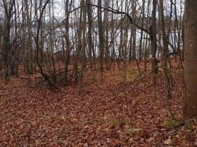 Land for sale in Evart, Michigan