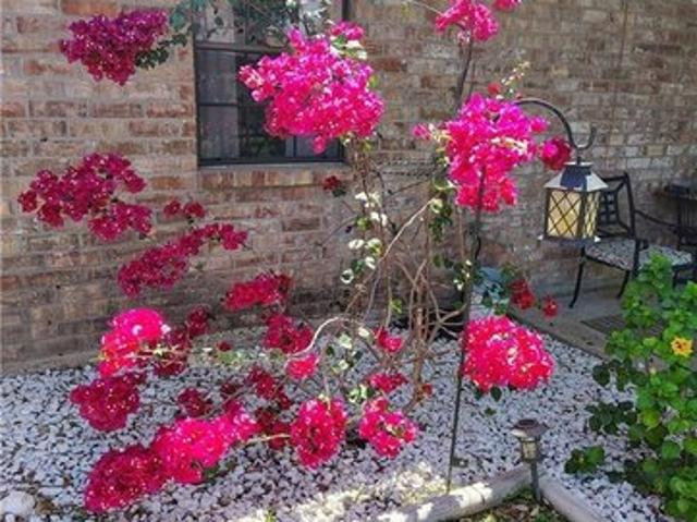 House for sale in Hidalgo, Texas