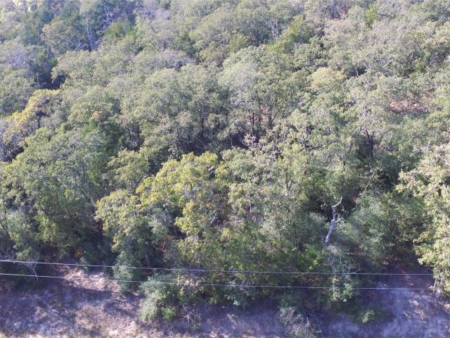 Land for sale in Milam, Texas