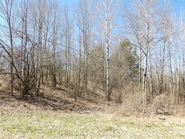 Land for sale in Michigan