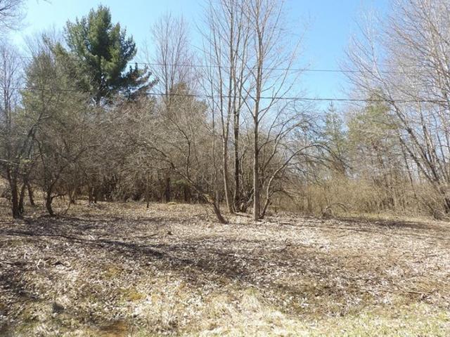 Land for sale in Evart, Michigan