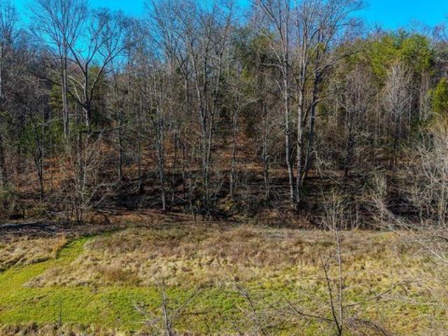 Land for sale in Tennessee