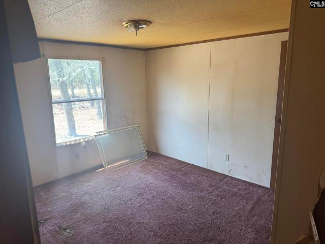 House for sale in Pelion, South Carolina