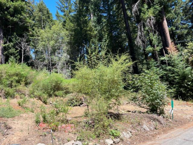 Land for sale in Boulder Creek