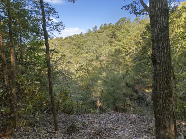 Land for sale in Zoe, Kentucky