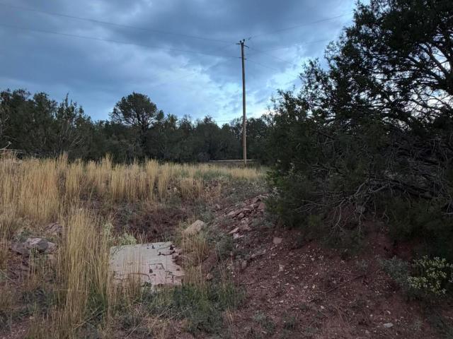 Land for sale in New Mexico