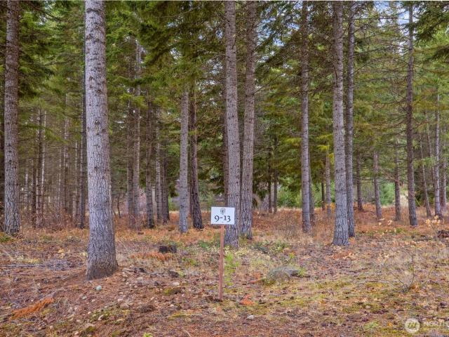 Land for sale in Cle Elum, Washington