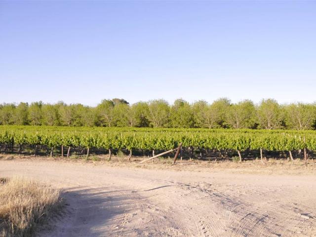 Farm for sale in Groblershoop, Northern Cape