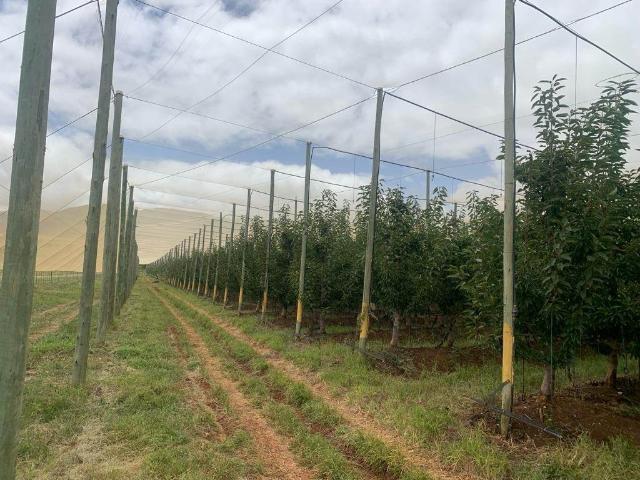 Farm for sale in Mpumalanga