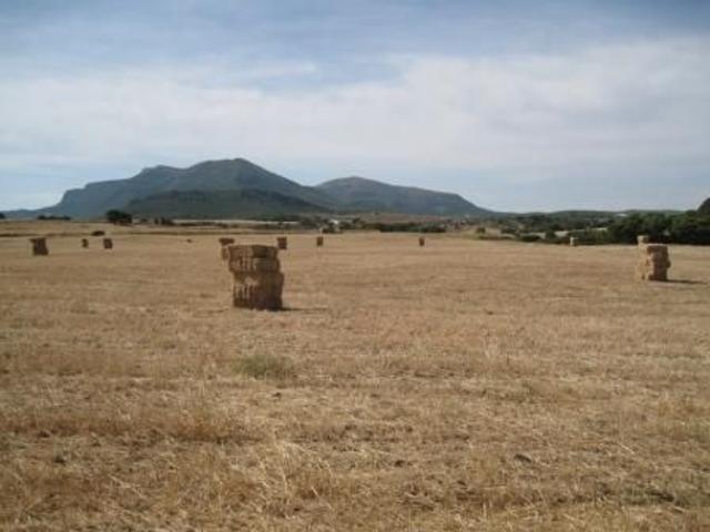 Ferme vente à Bir Mcherga