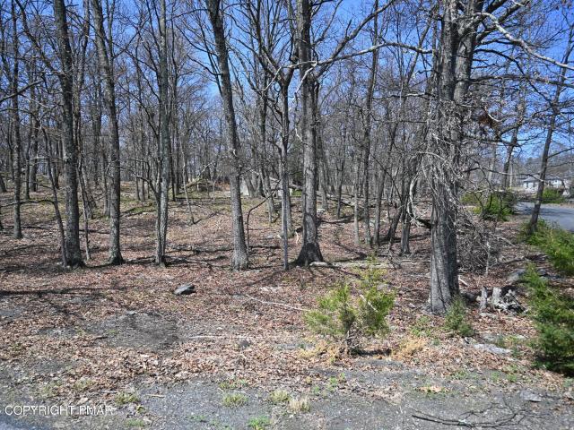 Land for sale in Dingmans Ferry, Pennsylvania