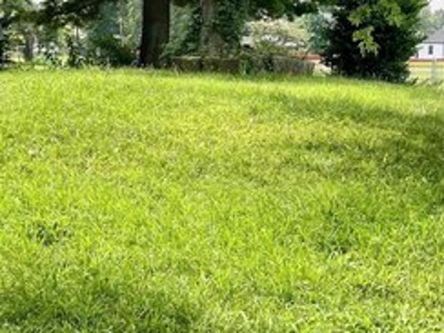 Land for sale in Orleans, Indiana