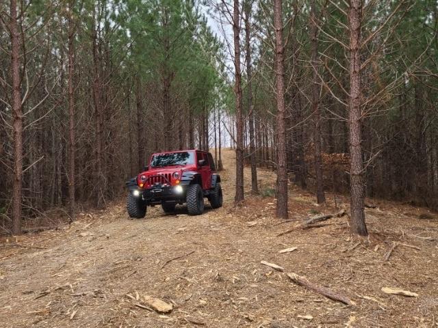 Land for sale in Tennessee